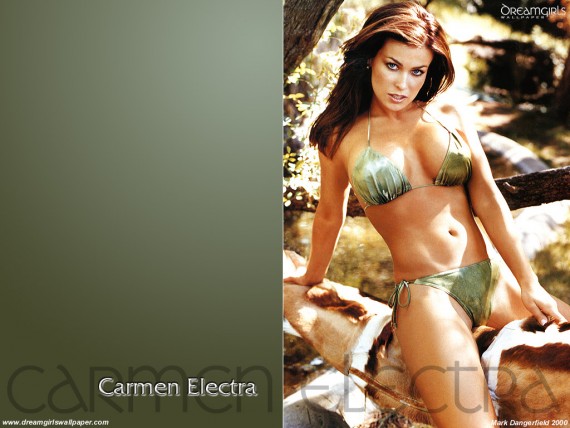 Free Send to Mobile Phone Carmen Electra Celebrities Female wallpaper num.23