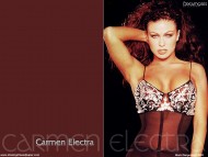 Carmen Electra / Celebrities Female