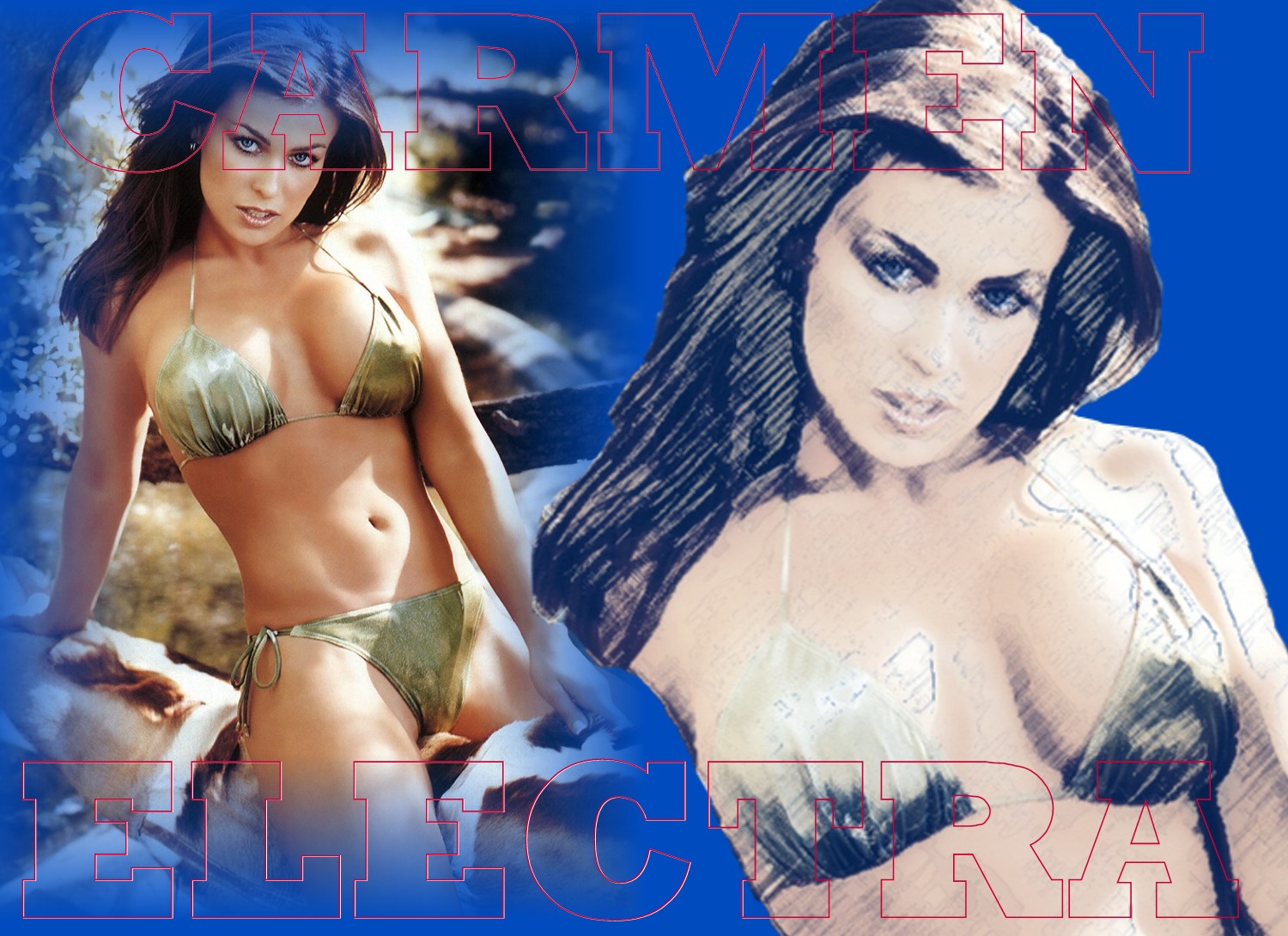 Download HQ Carmen Electra wallpaper / Celebrities Female / 1500x1090