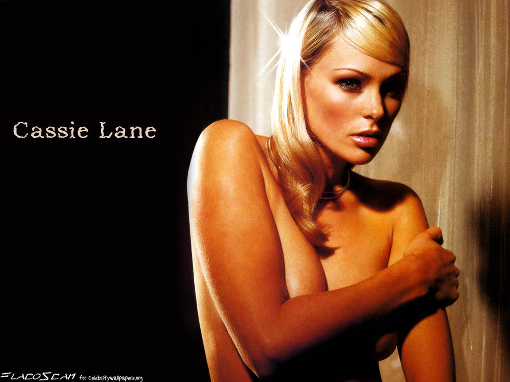 Full size Cassie Lane wallpaper / Celebrities Female / 1024x768