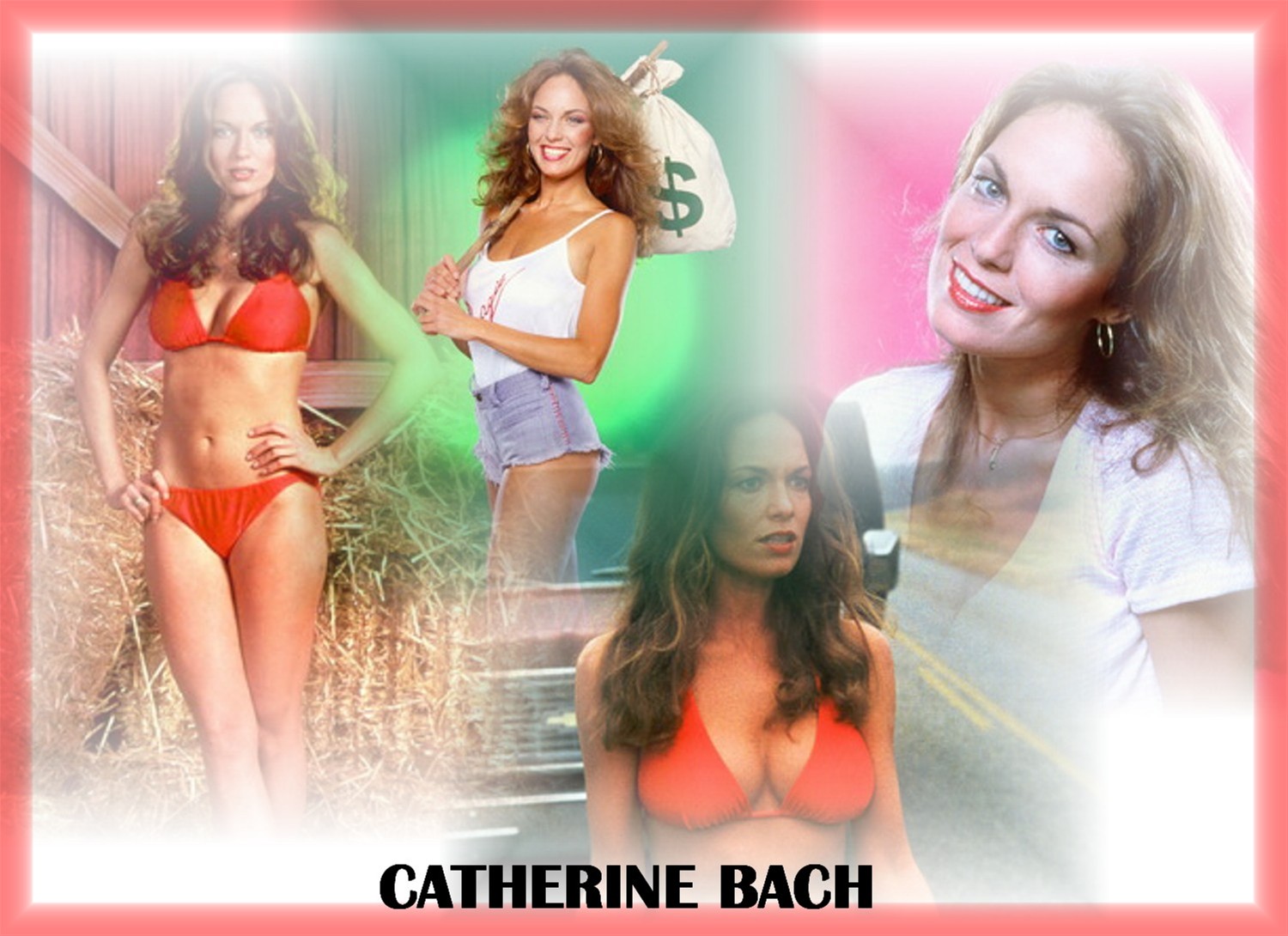 Download High quality Catherine Bach wallpaper / Celebrities Female / 1500x1090