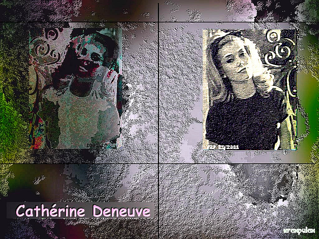 Full size Catherine Deneuve wallpaper / Celebrities Female / 1024x768