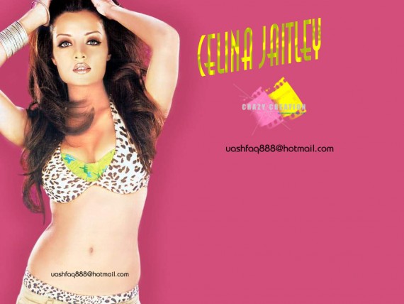 Free Send to Mobile Phone Celina Jaitley Celebrities Female wallpaper num.1