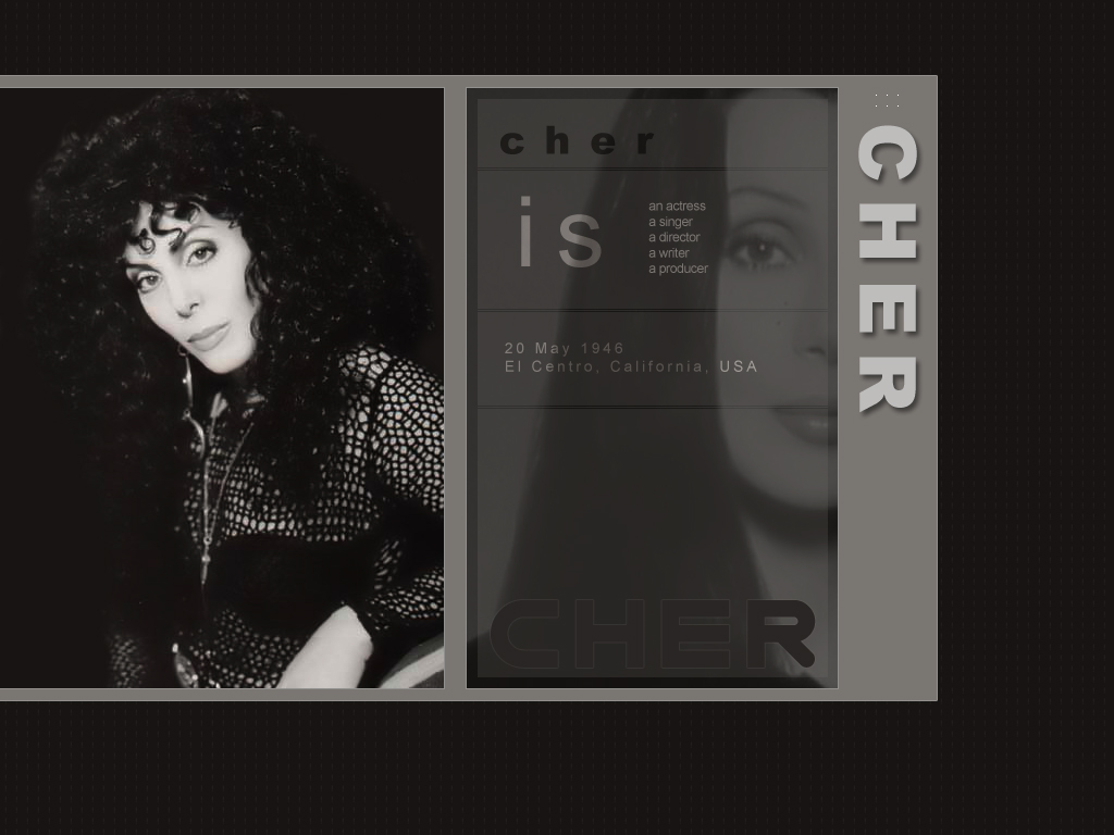 Full size Cher wallpaper / Celebrities Female / 1024x768