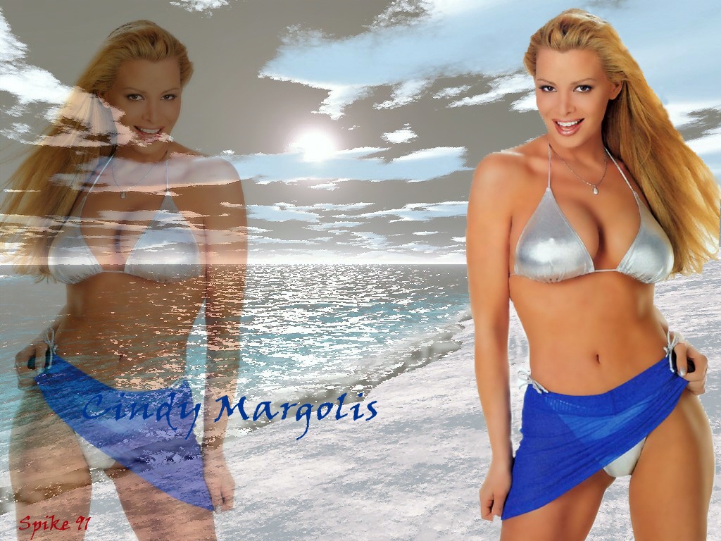 Download Cindy Margolis / Celebrities Female wallpaper / 1024x768