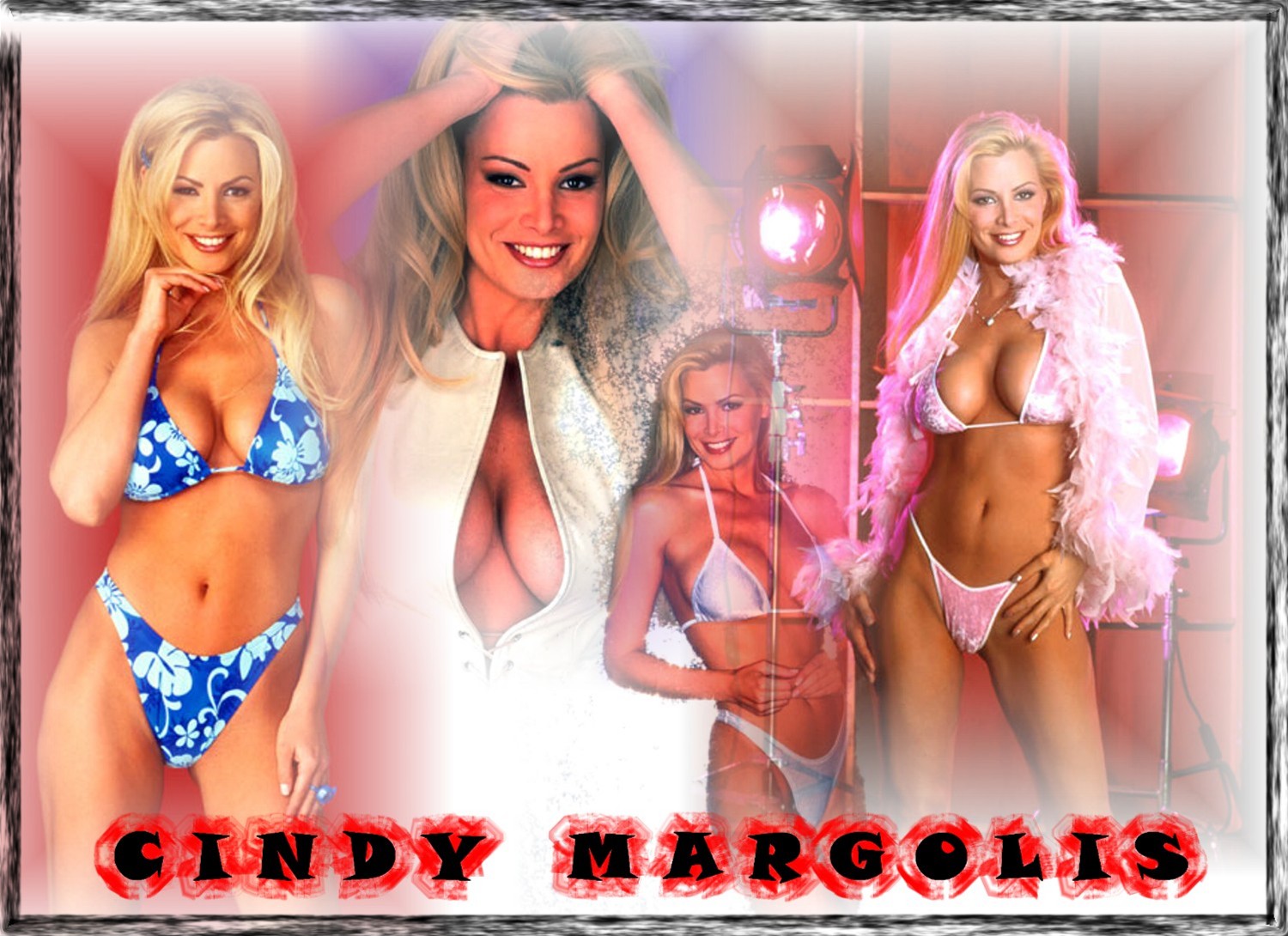 Download High quality Cindy Margolis wallpaper / Celebrities Female / 1500x1090