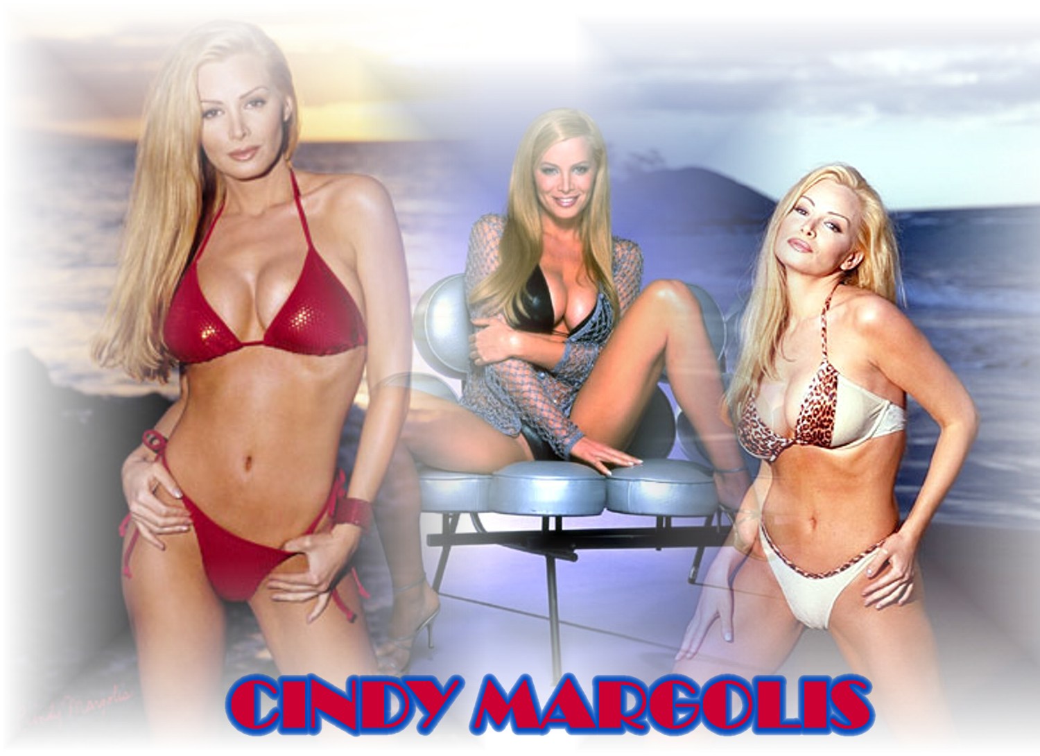 Download full size Cindy Margolis wallpaper / Celebrities Female / 1500x1090