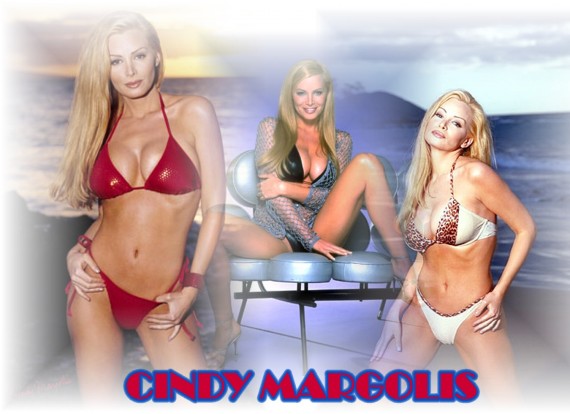 Free Send to Mobile Phone Cindy Margolis Celebrities Female wallpaper num.5