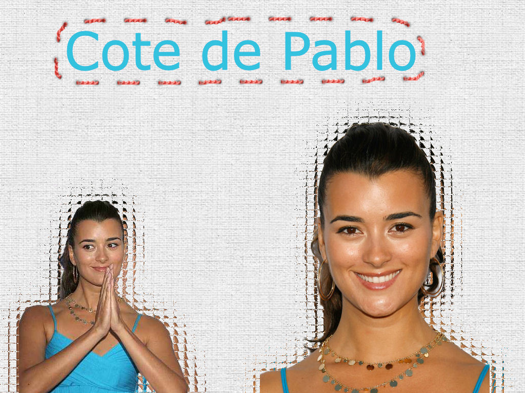 Full size Cote de Pablo wallpaper / Celebrities Female / 1024x768