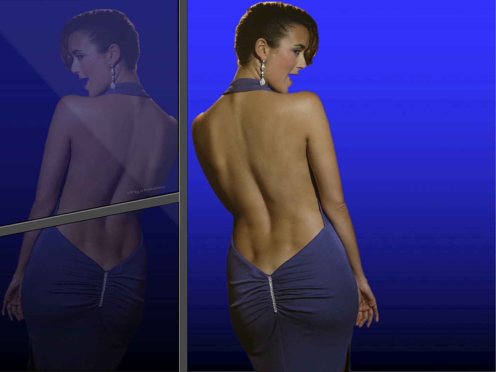 Download full size mirror image, ncis, sexy Cote de Pablo wallpaper / 1600x1200