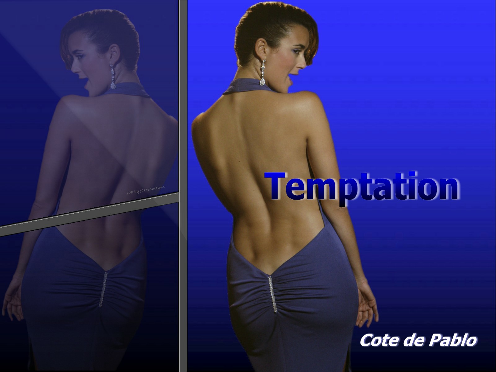 Download HQ Reflection, ncis, blue dress Cote de Pablo wallpaper / 1600x1200
