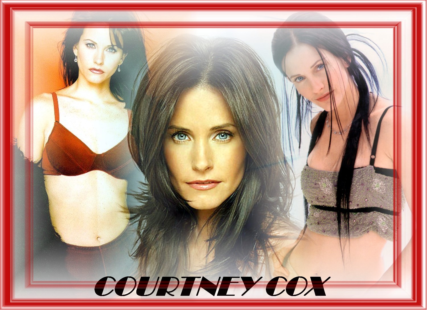 Download HQ Courteney Cox wallpaper / Celebrities Female / 1500x1090