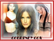 Courteney Cox / Celebrities Female