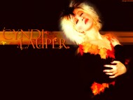 Download Cyndi Lauper / Celebrities Female