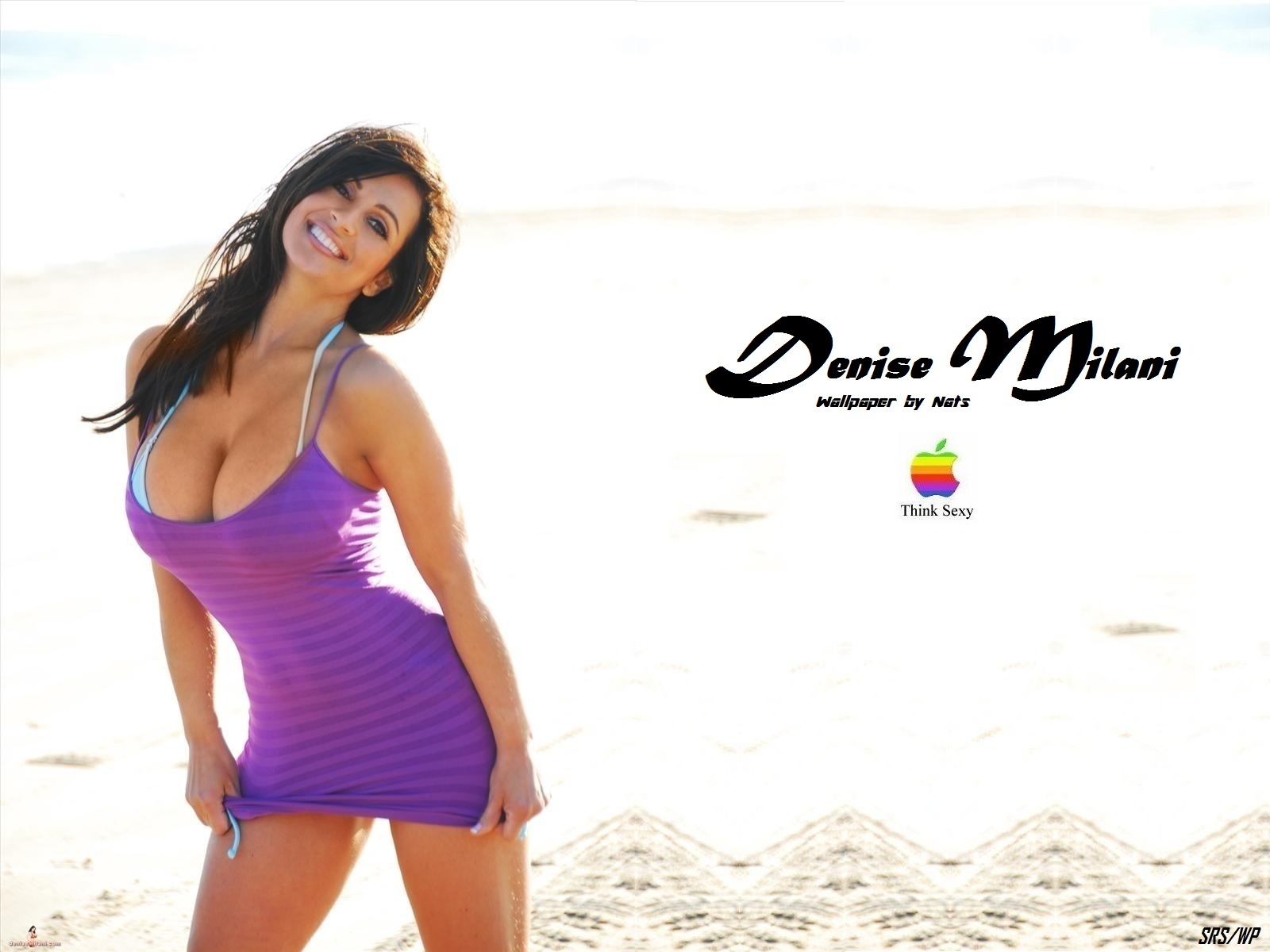 Download High quality Denise Milani wallpaper / Celebrities Female / 1600x1200