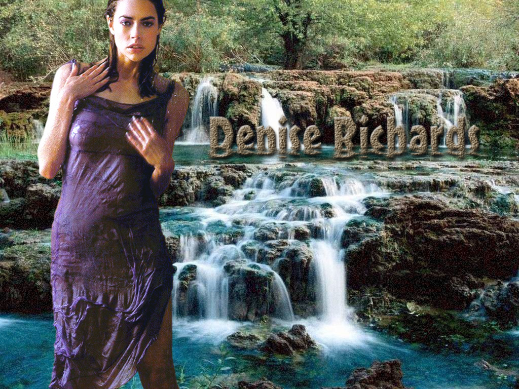 Full size Denise Richards wallpaper / Celebrities Female / 1024x768