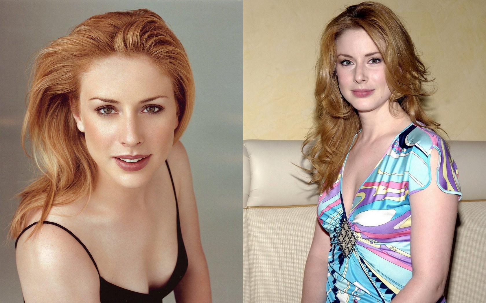 Download High quality Diane Neal wallpaper / Celebrities Female / 1680x1050