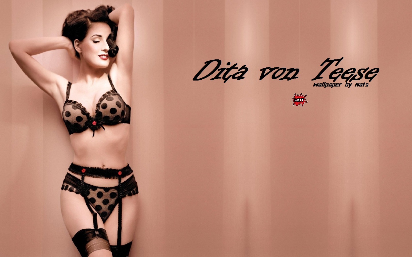 Download full size Dita Von Teese wallpaper / Celebrities Female / 1440x900