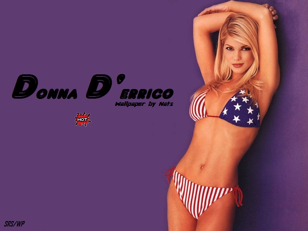 Download Donna Derrico / Celebrities Female wallpaper / 1024x768