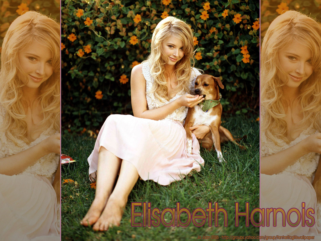 Full size Elisabeth Harnois wallpaper / Celebrities Female / 1024x768