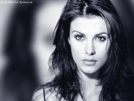 Download Elisabetta Canalis / Celebrities Female