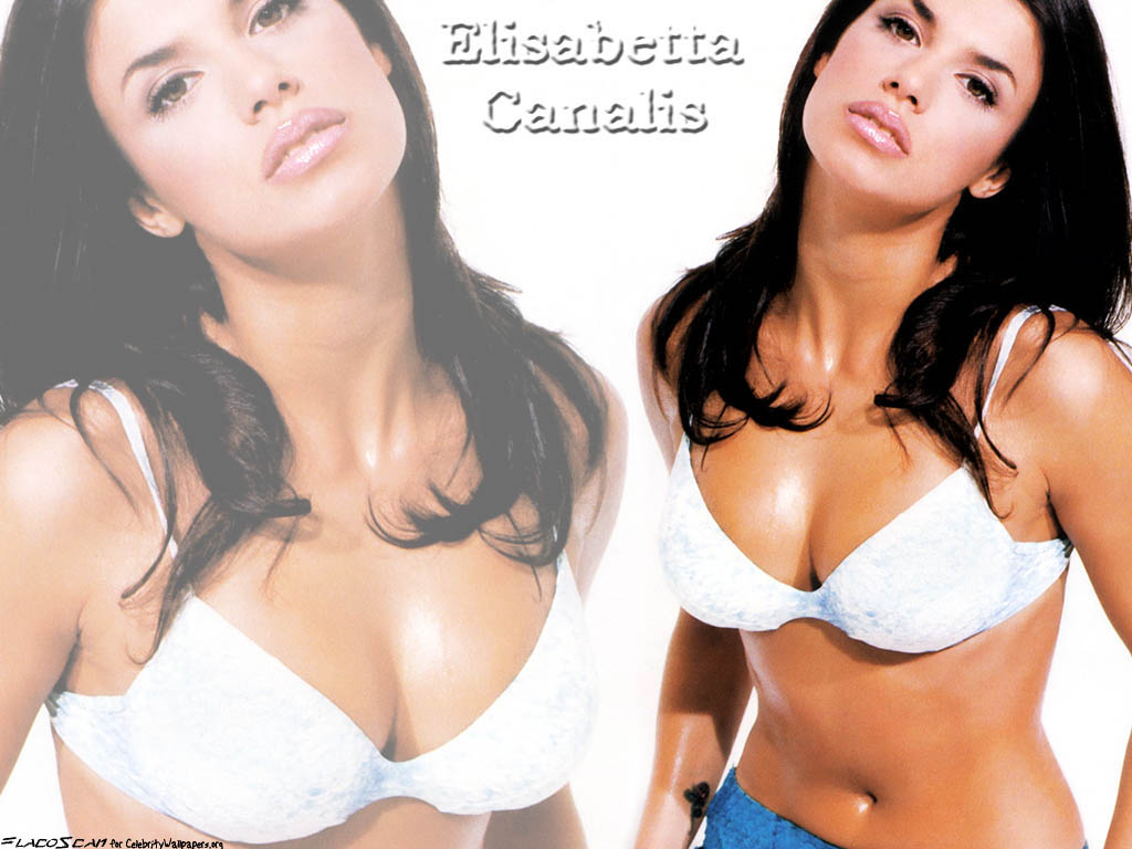 Full size Elisabetta Canalis wallpaper / Celebrities Female / 1024x768
