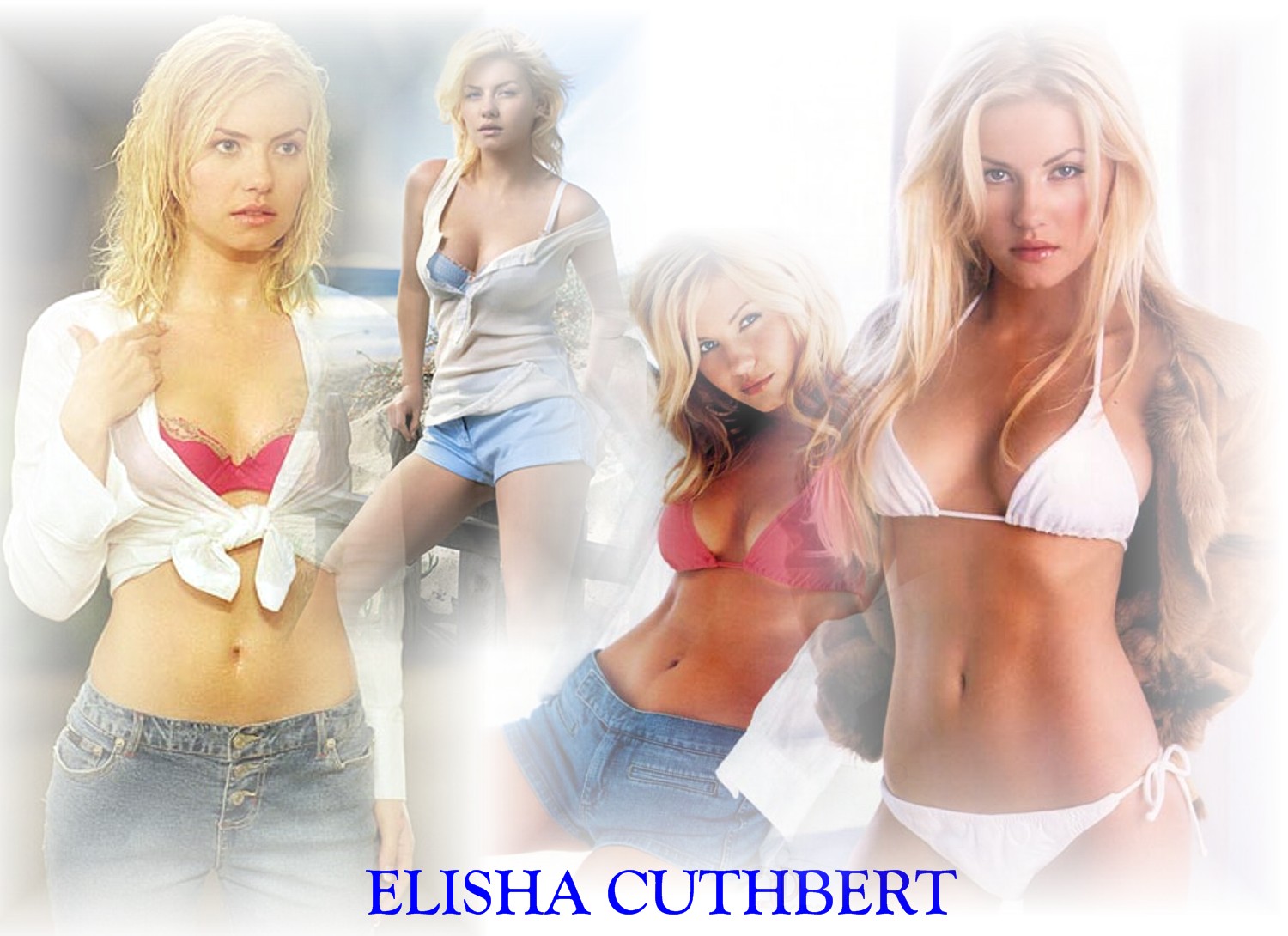 Download HQ Elisha Cuthbert wallpaper / Celebrities Female / 1500x1090