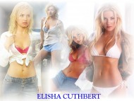 Download Elisha Cuthbert / Celebrities Female