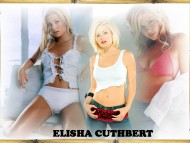 HQ Elisha Cuthbert  / Celebrities Female