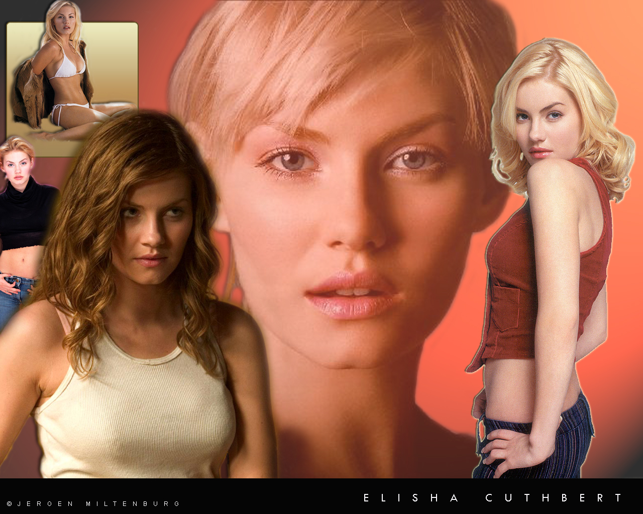 Download High quality Elisha Cuthbert wallpaper / Celebrities Female / 1280x1024