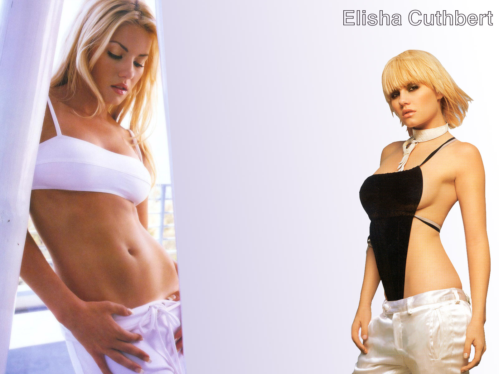 Download HQ Elisha Cuthbert wallpaper / Celebrities Female / 1600x1200