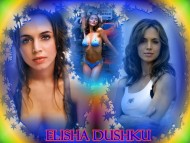 Eliza Dushku / Celebrities Female