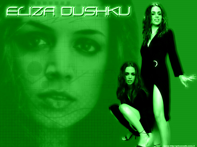 Full size Eliza Dushku wallpaper / Celebrities Female / 800x600