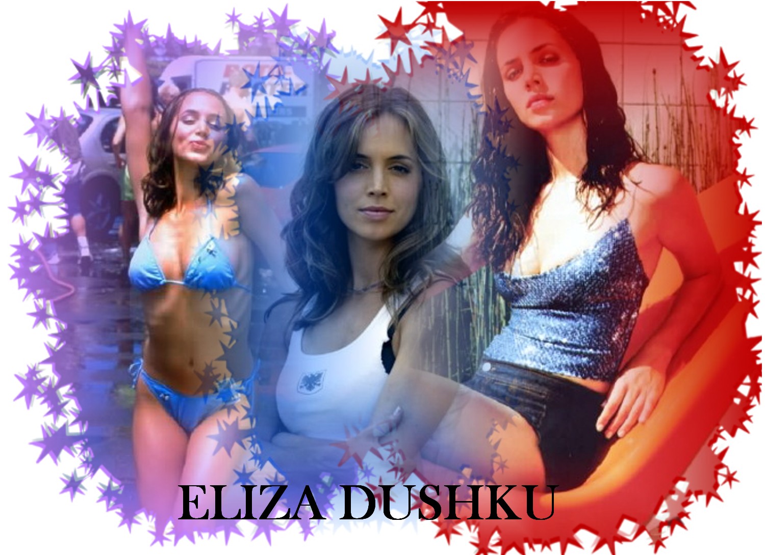 Download HQ Eliza Dushku wallpaper / Celebrities Female / 1500x1090