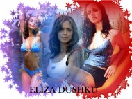 Eliza Dushku / Celebrities Female