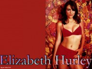 Elizabeth Hurley / Celebrities Female
