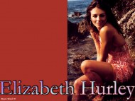 Elizabeth Hurley / Celebrities Female