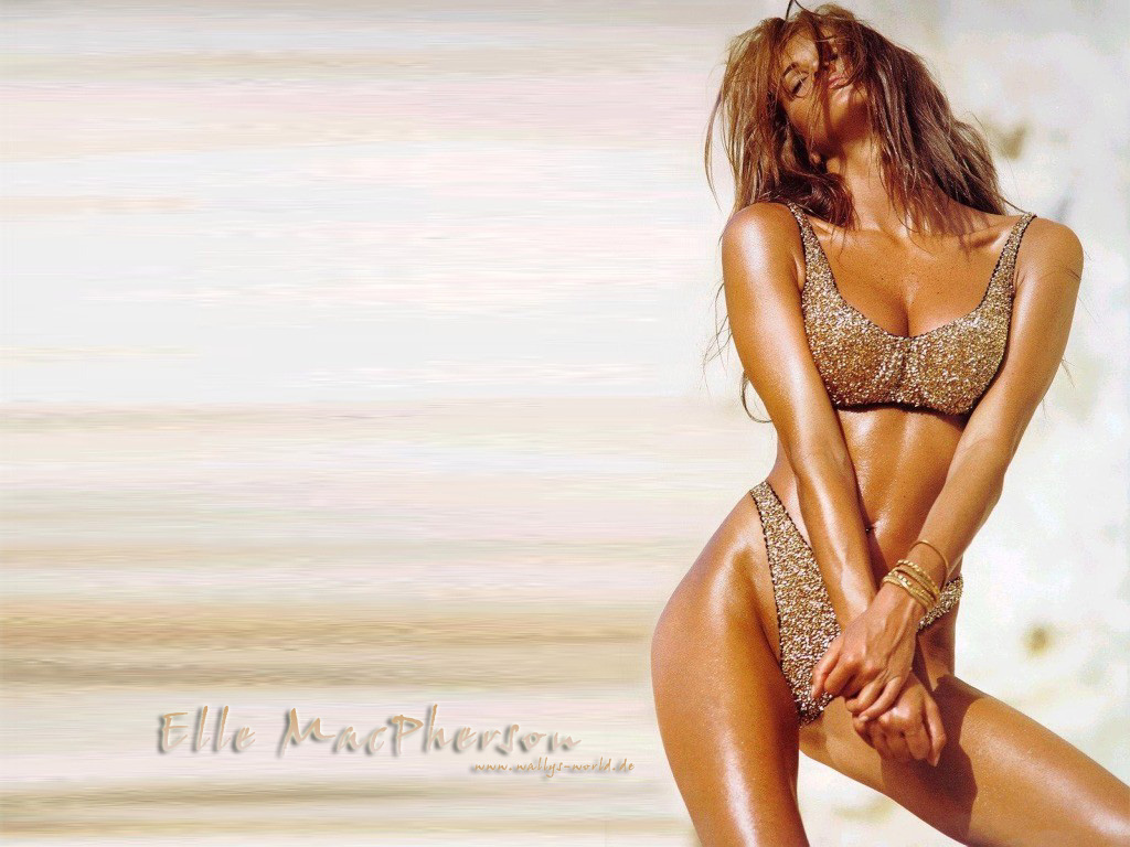Download Elle Macpherson / Celebrities Female wallpaper / 1024x768