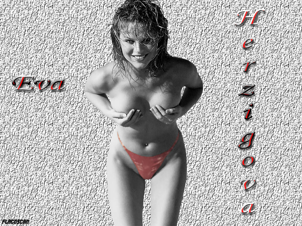 Download Eva Herzigova / Celebrities Female wallpaper / 1024x768