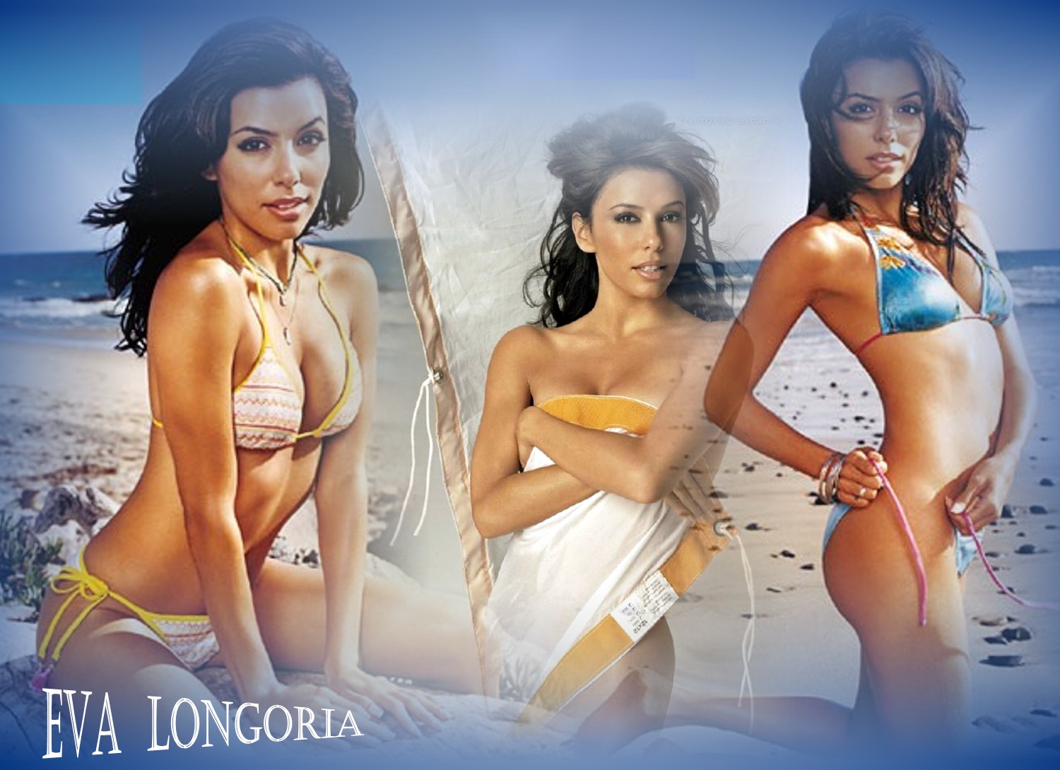 Download HQ Eva Longoria wallpaper / Celebrities Female / 1500x1090