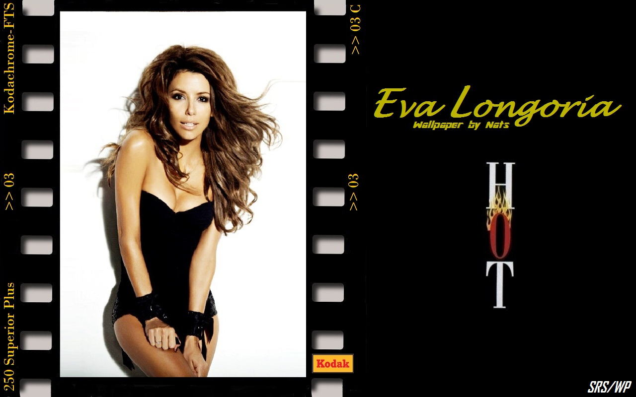 Download HQ Eva Longoria wallpaper / Celebrities Female / 1280x800