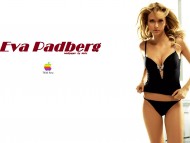 Download Eva Padberg / Celebrities Female