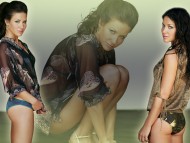 Evangeline Lilly / Celebrities Female
