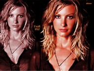 Download Faith Hill / Celebrities Female