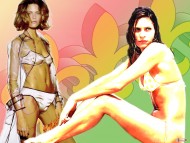 Download Frankie Rayder / Celebrities Female