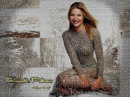 Download Gwyneth Paltrow / Celebrities Female