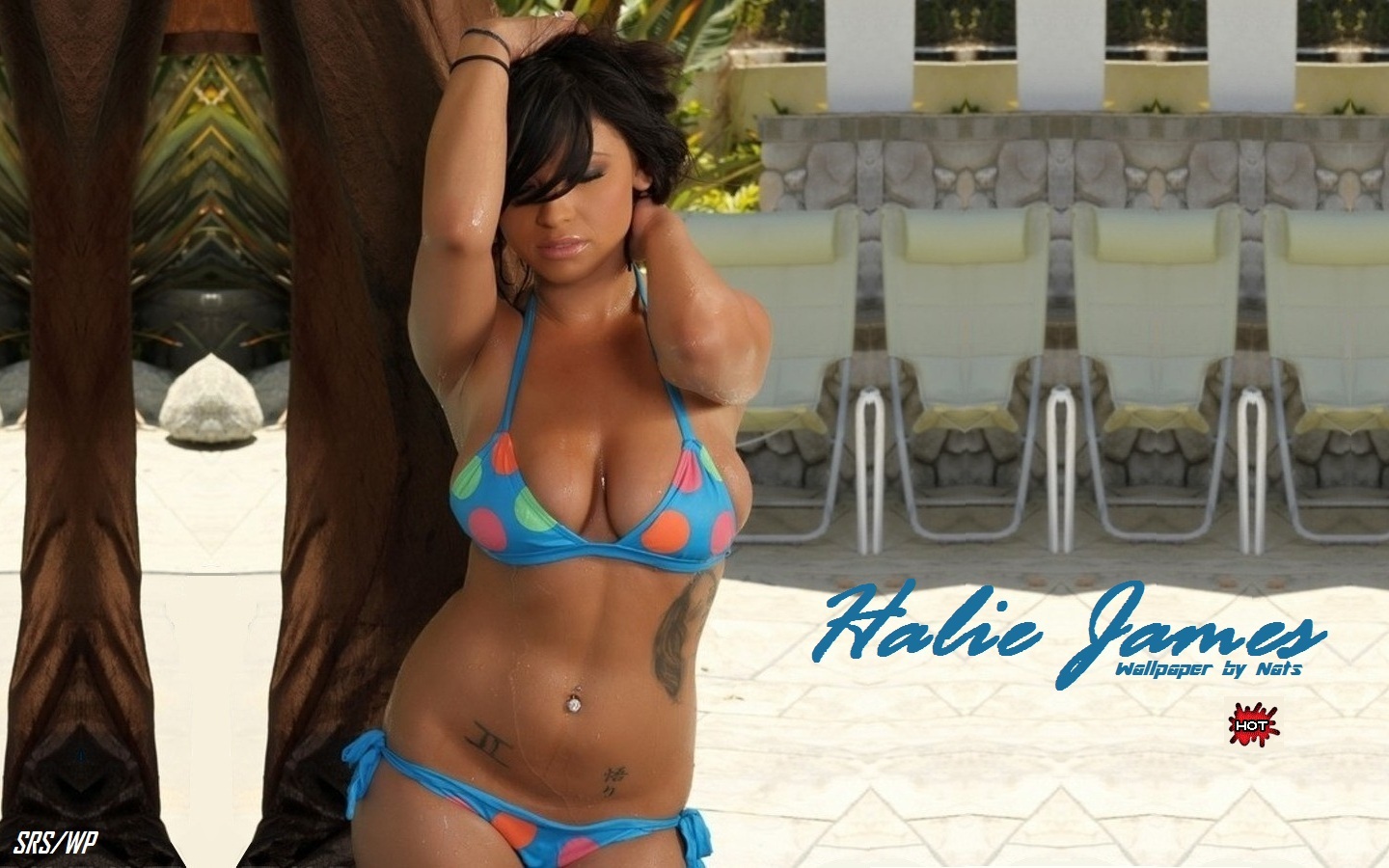 Download High quality Halie James wallpaper / Celebrities Female / 1440x900