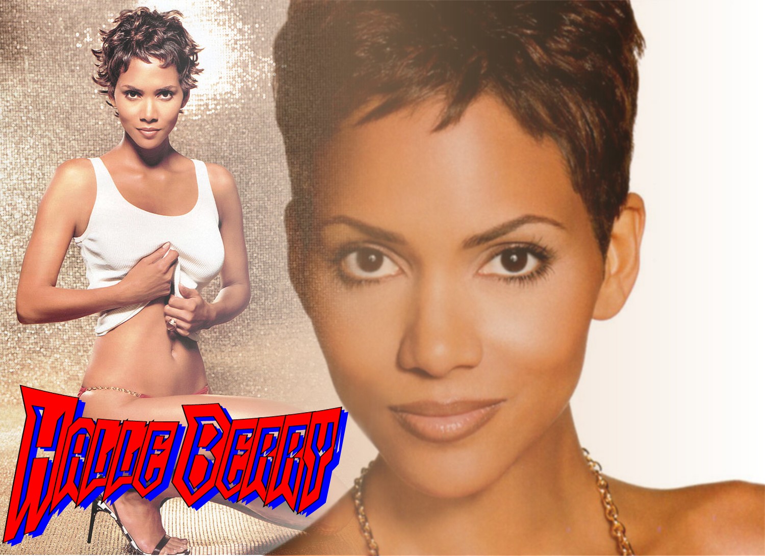 Download HQ Halle Berry wallpaper / Celebrities Female / 1500x1090