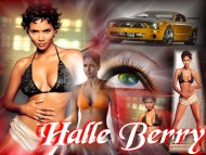 Download Halle Berry / Celebrities Female