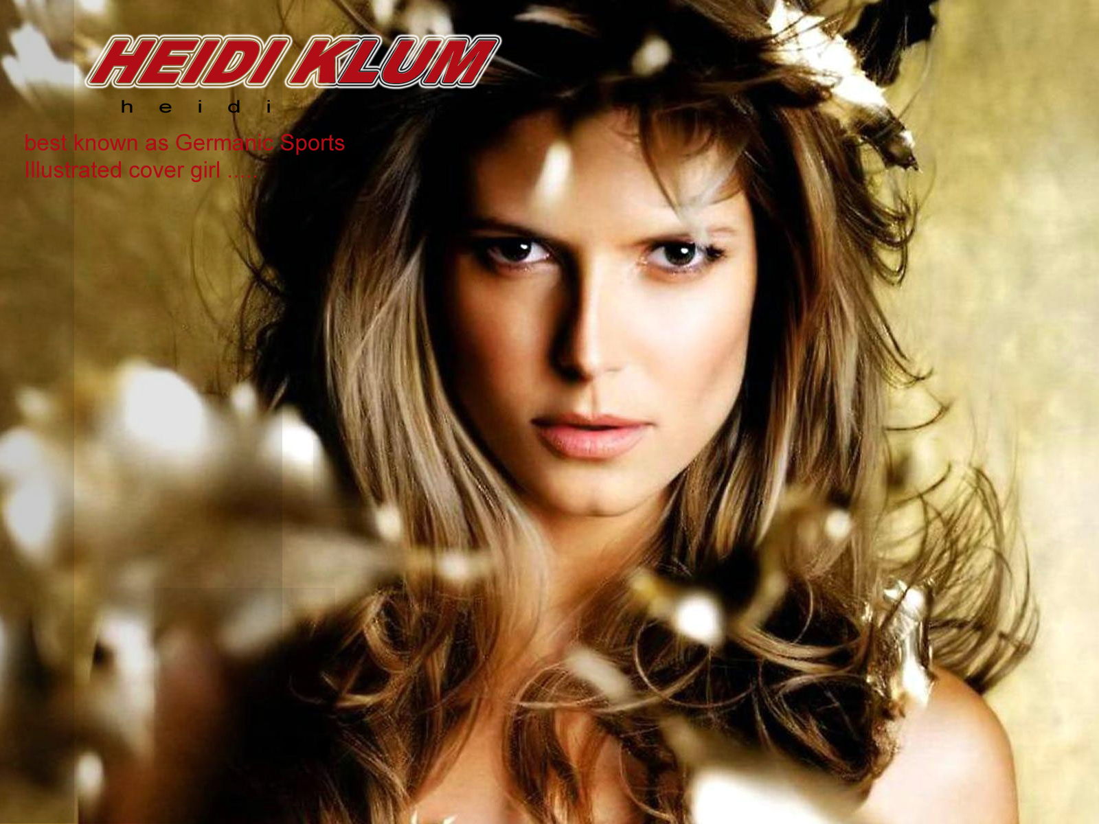 Download HQ Heidi Klum wallpaper / Celebrities Female / 1600x1200